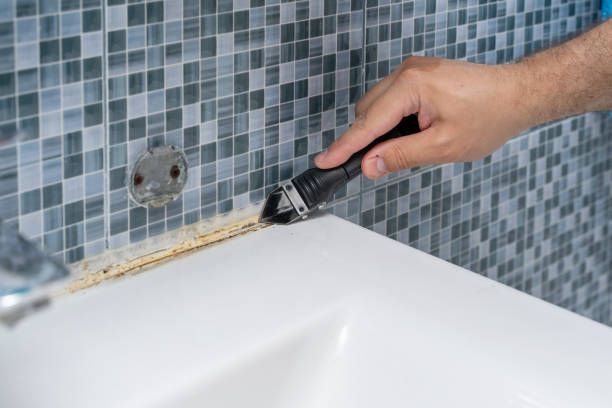 Best Localized Mold Remediation (e.g., coastal areas, humid climates) in Holbrook, NY
